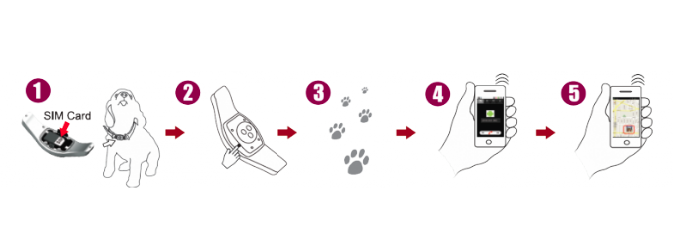traceur-gps-test-satellite-abonnement-traceur-chien